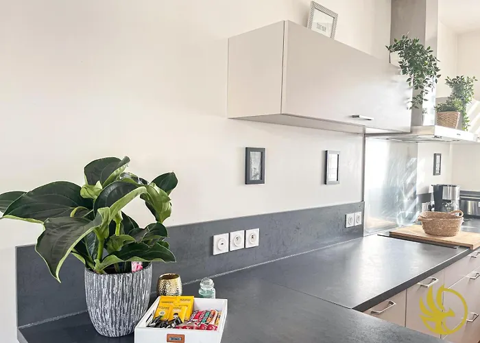 Duplex Elegant Et Spacieux