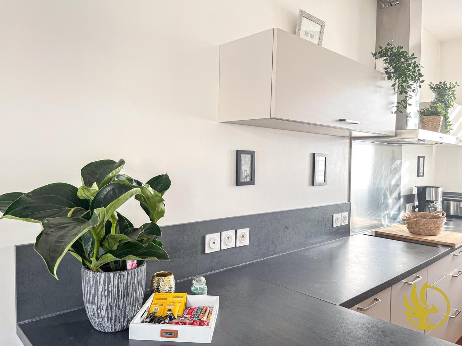 Duplex Elegant Et Spacieux Apartment Lens